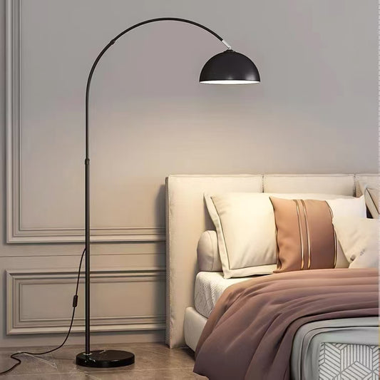 Black Arc Dome Floor Lamp